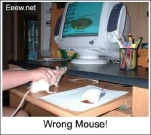 funny-picture-3025