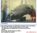 funny-picture-567