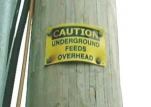 funny-picture-1016