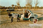 funny-picture-2195