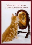 funny-picture-5348