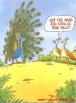 funny-picture-1859