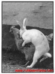 funny-picture-2783