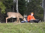 funny-picture-977