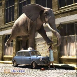 funny-picture-107