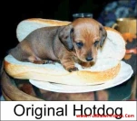 funny-picture-61