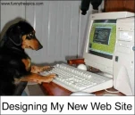 funny-picture-1693