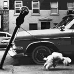 funny-picture-5070