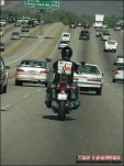 funny-picture-4368