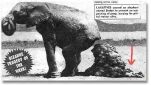 funny-picture-5042