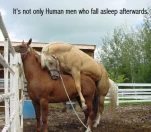 funny-picture-5103