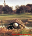 funny-picture-5142