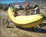 funny-picture-1629