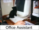 funny-picture-598
