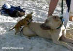 funny-picture-2796
