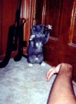 funny-picture-2318
