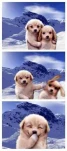funny-picture-3321