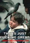 funny-picture-1094