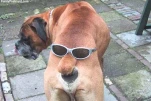 funny-picture-1659