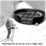 funny-picture-4552