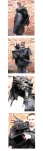 funny-picture-4776
