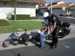 funny-picture-1490