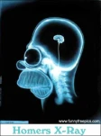 funny-picture-919