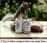funny-picture-5154