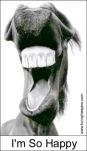 funny-picture-3068