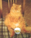 funny-picture-5237