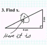 funny-picture-782