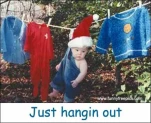 funny-picture-4817