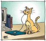 mousegone
