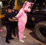 funny-picture-2732