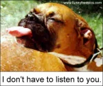 funny-picture-4147