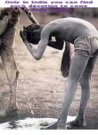 funny-picture-3384