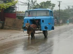 funny-picture-1192