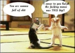 funny-picture-4487