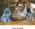 funny-picture-1760