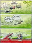 funny-picture-304