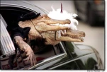 funny-picture-459