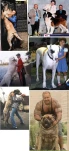 funny-picture-3120