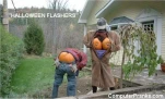funny-picture-3635