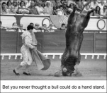 funny-picture-3898