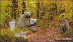 funny-picture-1566