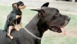 funny-picture-4436