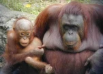 mamaandyou
