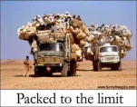funny-picture-4383