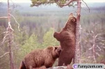 funny-picture-2769
