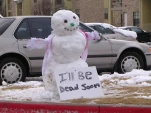 funny-picture-2951